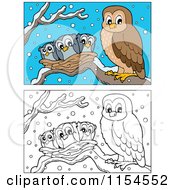 Poster, Art Print Of Outlined And Colored Owl And Chicks In A Nest