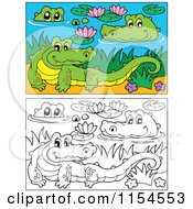 Cartoon Of Colored And Outlined Crocodiles In A Swamp Royalty Free Vector Illustration