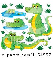 Cartoon Of Four Crocodiles Royalty Free Vector Illustration