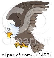 Flying Bald Eagle