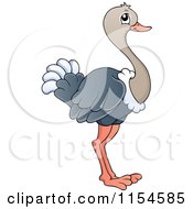 Cartoon Of An Ostrich Royalty Free Vector Clipart