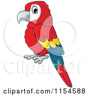 Poster, Art Print Of Red Parrot