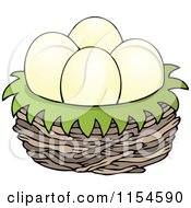 Eggs In A Bird Nest