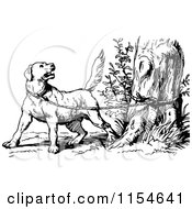 Clipart Of A Retro Vintage Black And White Dog Tied To A Tree Royalty Free Vector Clipart