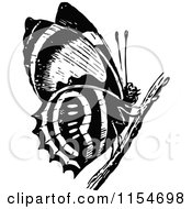 Poster, Art Print Of Retro Vintage Black And White Butterfly On A Twig