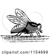 Clipart Of A Retro Vintage Black And White House Fly Royalty Free Vector Clipart by Prawny Vintage