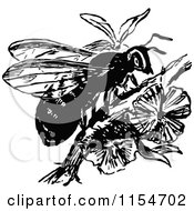 Poster, Art Print Of Retro Vintage Black And White Wasp On A Branch