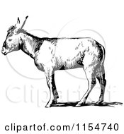 Poster, Art Print Of Retro Vintage Black And White Donkey In Profile