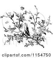 Clipart Of A Retro Vintage Black And White Tree Branch And Birds Royalty Free Vector Clipart