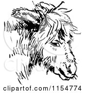 Clipart Of A Retro Vintage Black And White Donkey Face Royalty Free Vector Clipart by Prawny Vintage