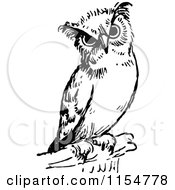 Poster, Art Print Of Retro Vintage Black And White Owl