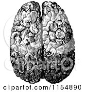 Clipart Of A Retro Vintage Black And White Human Brain Royalty Free Vector Clipart