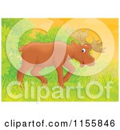 Cartoon Of A Happy Brown Moose Near Shrubs Royalty Free Illustration