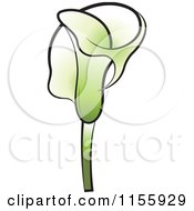 Clipart Of A Green Calla Lily Flower 2 Royalty Free Vector Illustration by Lal Perera