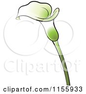 Clipart Of A Green Calla Lily Flower Royalty Free Vector Illustration