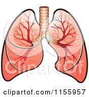 Clipart Of Human Lungs Royalty Free Vector Illustration by Lal Perera