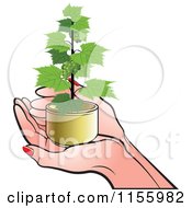 Poster, Art Print Of Pair Of Hands Holding A Grape Vine Plant