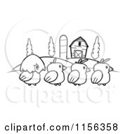 Poster, Art Print Of Black And White Row Of Four Farm Chicks