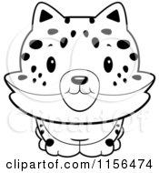 Poster, Art Print Of Black And White Baby Bobcat Smiling