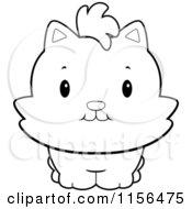 Poster, Art Print Of Black And White Chubby Kitten Facing Front