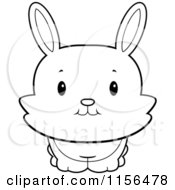 Poster, Art Print Of Black And White Cute Bunny Rabbit Looking Front