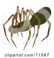 Poster, Art Print Of Creepy Brown Spider