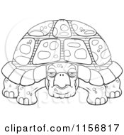 Poster, Art Print Of Black And White Grumpy Old Tortoise