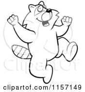 Cartoon Clipart Of A Black And White Excited Raccoon Jumping Vector Outlined Coloring Page