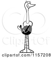 Poster, Art Print Of Black And White Happy Ostrich