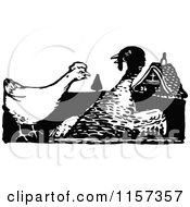 Poster, Art Print Of Retro Vintage Black And White Hen And Turkey Bird