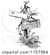 Clipart Of A Retro Vintage Black And White Dead Tree With Signs Royalty Free Vector Illustration