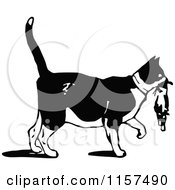 Clipart Of A Retro Vintage Black And White Cat Carrying A Kitten Royalty Free Vector Illustration by Prawny Vintage