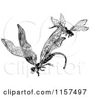 Clipart Of A Retro Vintage Black And White Dragonfly Pair Royalty Free Vector Illustration by Prawny Vintage