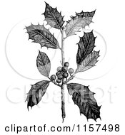 Clipart Of A Retro Vintage Black And White Sprig Of American Holly Royalty Free Vector Illustration