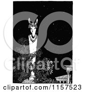 Poster, Art Print Of Retro Vintage Black And White Donkey Garden Statue At Night