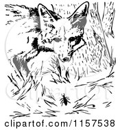 Clipart Of A Retro Vintage Black And White Fox And Bug Royalty Free Vector Illustration