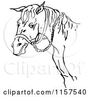 Clipart Of A Black And White Horse And Bridle Royalty Free Vector Illustration