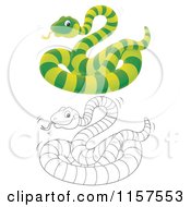 Poster, Art Print Of Green And Outlined Snake