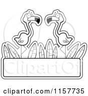 Cartoon Clipart Of Black And White Flamingos Over A Blank Sign Vector Outlined Coloring Page
