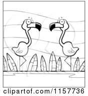 Cartoon Clipart Of A Black And White Flamingo Pair Wading In A Pond Vector Outlined Coloring Page