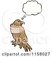 Thinking Hawk