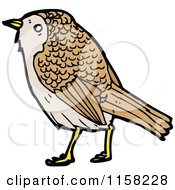 Cartoon Of A Bird Royalty Free Vector Illustration