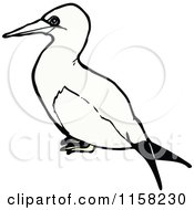 Cartoon Of A Gannet Bird Royalty Free Vector Illustration