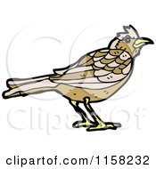 Cartoon Of A Bird Royalty Free Vector Illustration