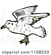 Cartoon Of A Seagull Royalty Free Vector Illustration