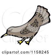 Cartoon Of A Bird Royalty Free Vector Illustration