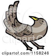 Cartoon Of A Bird Royalty Free Vector Illustration