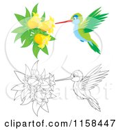 Poster, Art Print Of Colored And Outlined Hummingbirds Getting Nectar From Bell Flowers
