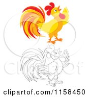 Poster, Art Print Of Colored And Outlined Crowing Rooster