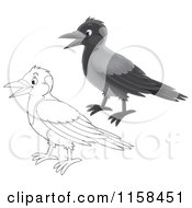 Poster, Art Print Of Colored And Outlined Crow Birds